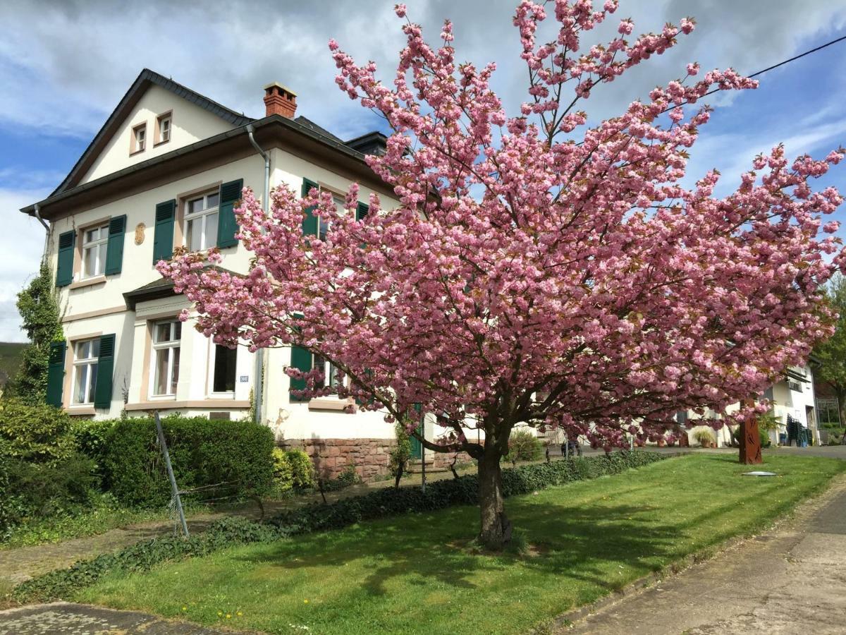 Ferienbungalow Kampenheissji Wiltingen Buitenkant foto